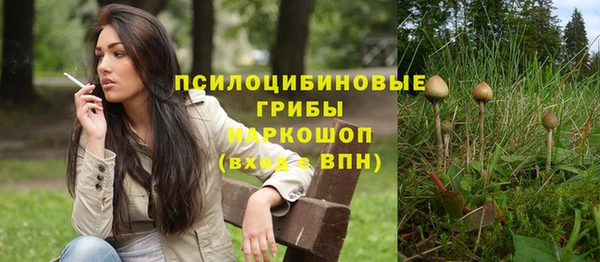 ешки Дмитровск