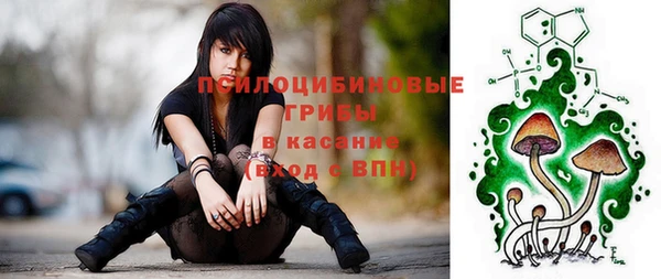 ешки Дмитровск
